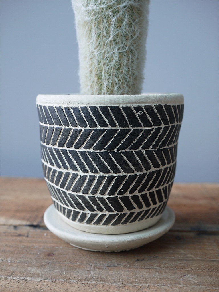 【一点もの】エスポストア 幻楽