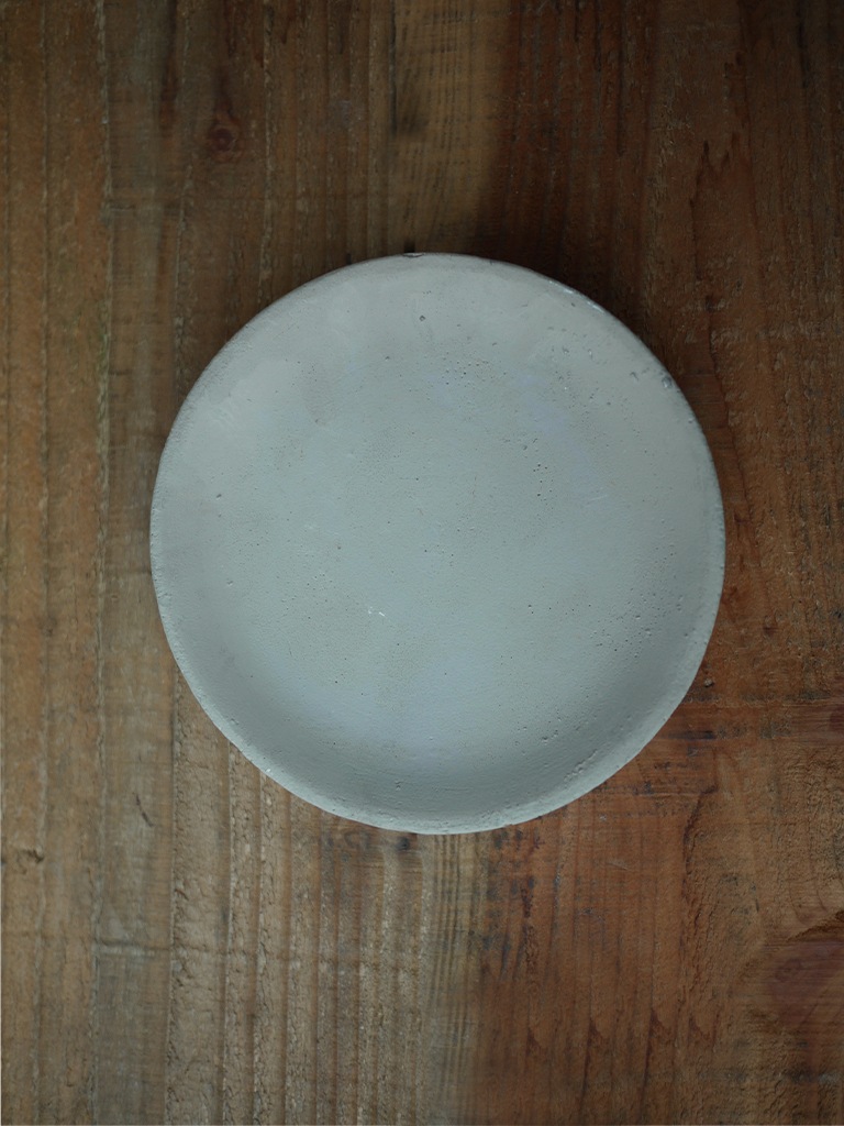 【一点もの】テフロカクタス 松笠団扇