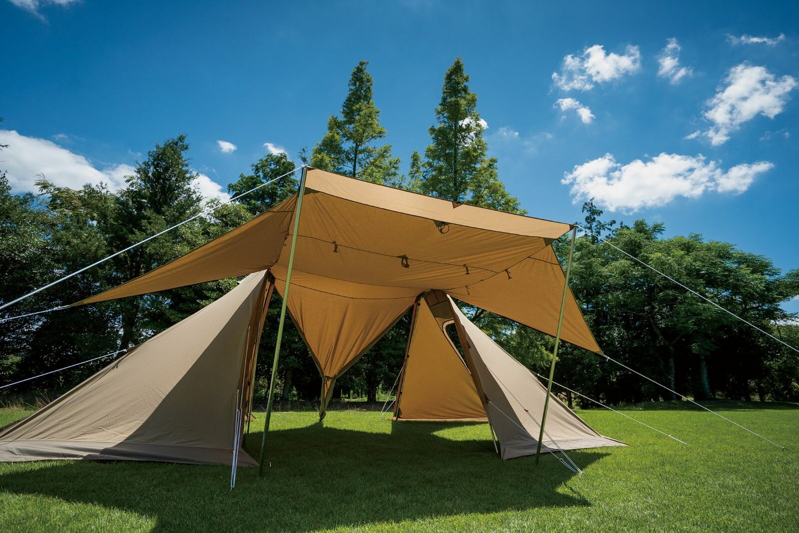 Ogawa 3348 ツインクレスタT/C｜キャンプ用品ならLiberty Base