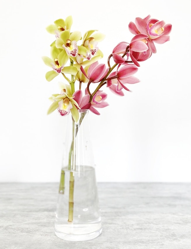 1月の誕生花束〈シンビジウム〉