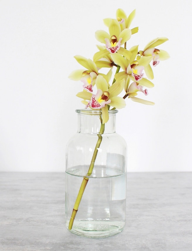 2月の誕生花束〈フリージア〉