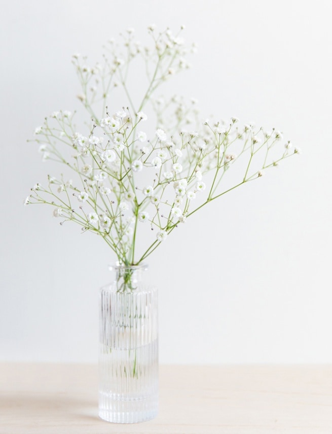 4月の誕生花束〈カスミソウ〉