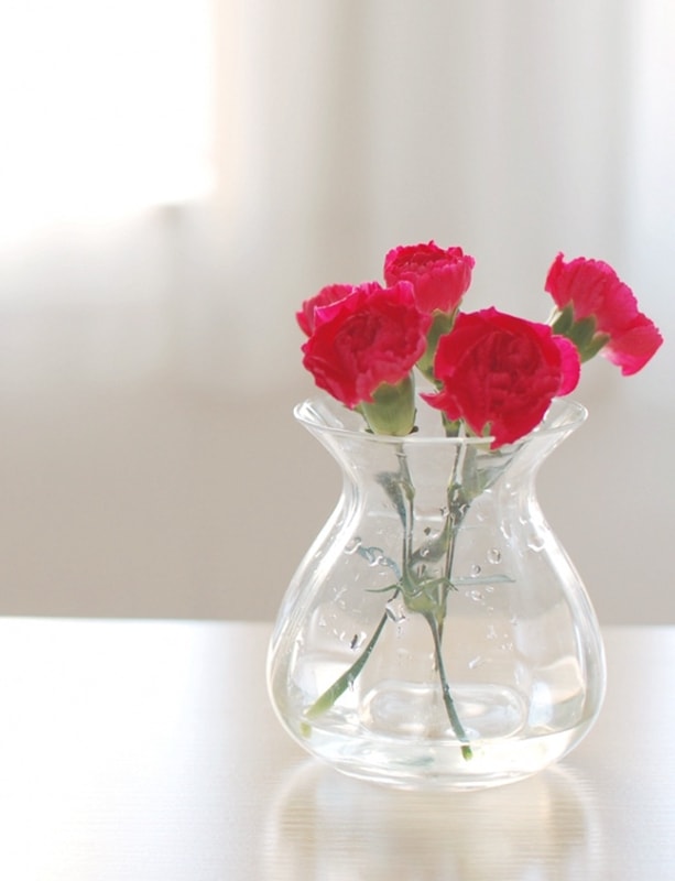 5月の誕生花束〈カーネーション〉