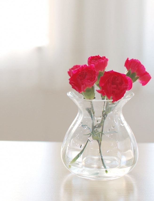 5月の誕生花束〈カーネーション〉