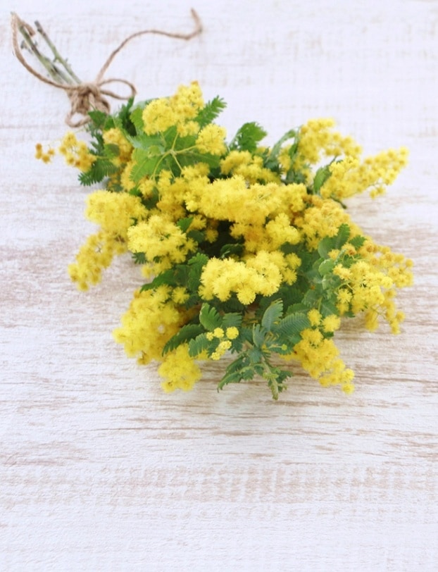 シーズナルコース