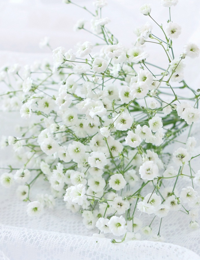 4月の誕生花束〈カスミソウ〉