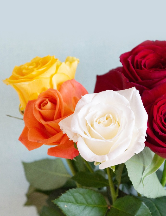 6月の誕生花束〈バラ〉 | 誕生花 | Jasny FLOWER ONLINE SHOP