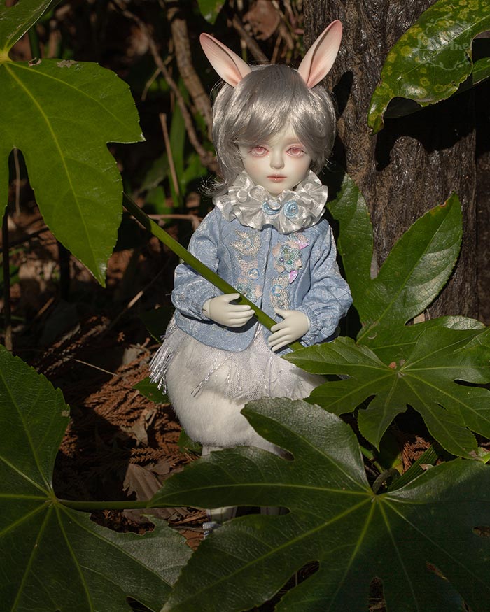 Rui ~Lichtner ver~ Basic