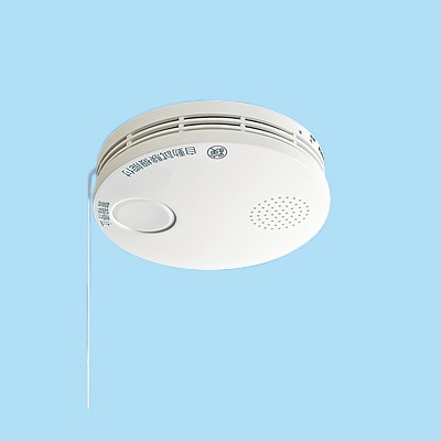 �ѥʥ��˥å� SHK48455K �������������2�� ���Ӽ� ñ�ȷ�