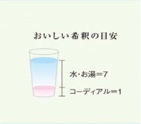 生活の木　ハーブコーディアル 有機クラシックジンジャー 360ml