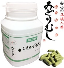 �ߤɤ�ष���Х��������ࣱ����γ