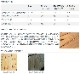ҤΤץ쥹ࡦ45703900mm(8.9kg) ں߸˸¤