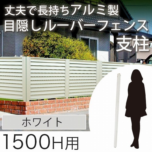 �ں߸˸¤���ܱ����ե��� ������� �ʥ����� ���⤵150cm�ѡ� �ۥ磻�� ����ߥե��� ����