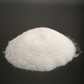 50󥪥աۡ11ȯͽۥץߥࡡѡå եסŤǥԥ顼˥ᡡ¿ŷ100%