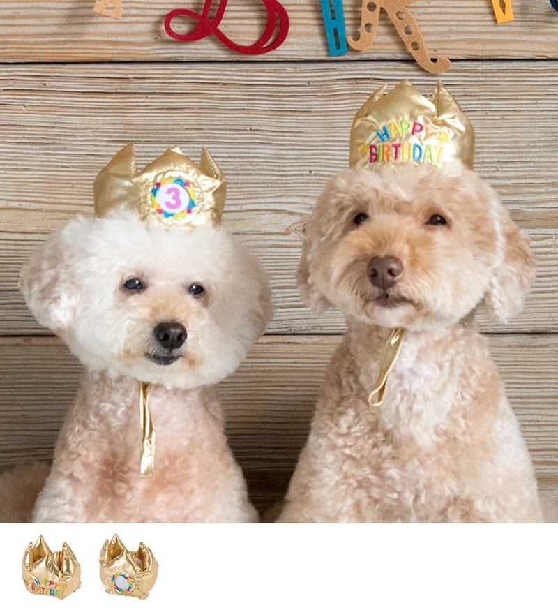 バースデークラウン