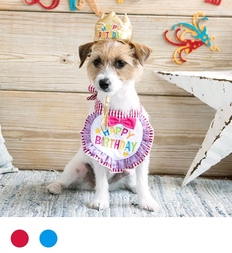 ハッピースタイ