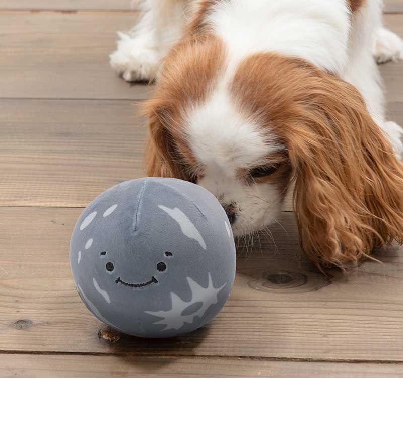 月 | Toys（おもちゃ） | LIFE LIKE 【犬服グッズ専門店】