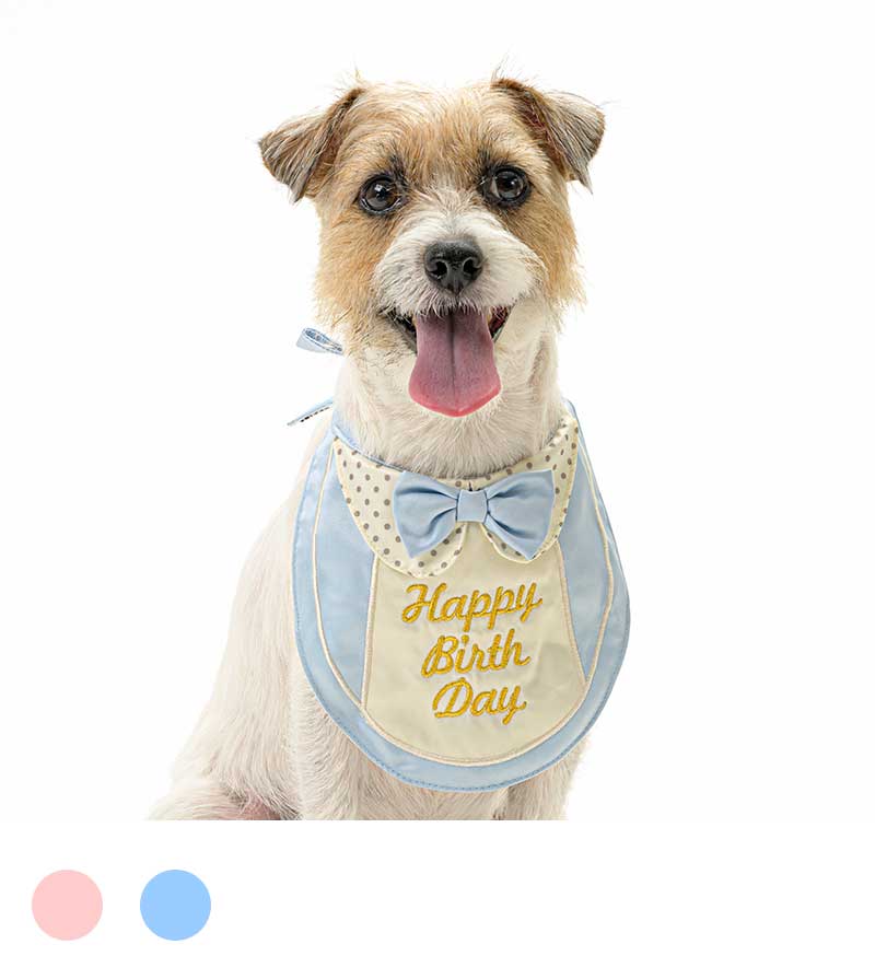 プレミアムバースデースタイ