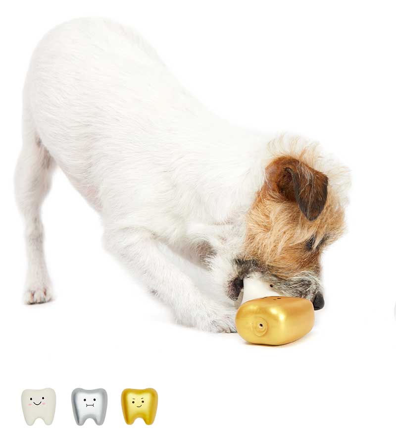 ラテックスteeth