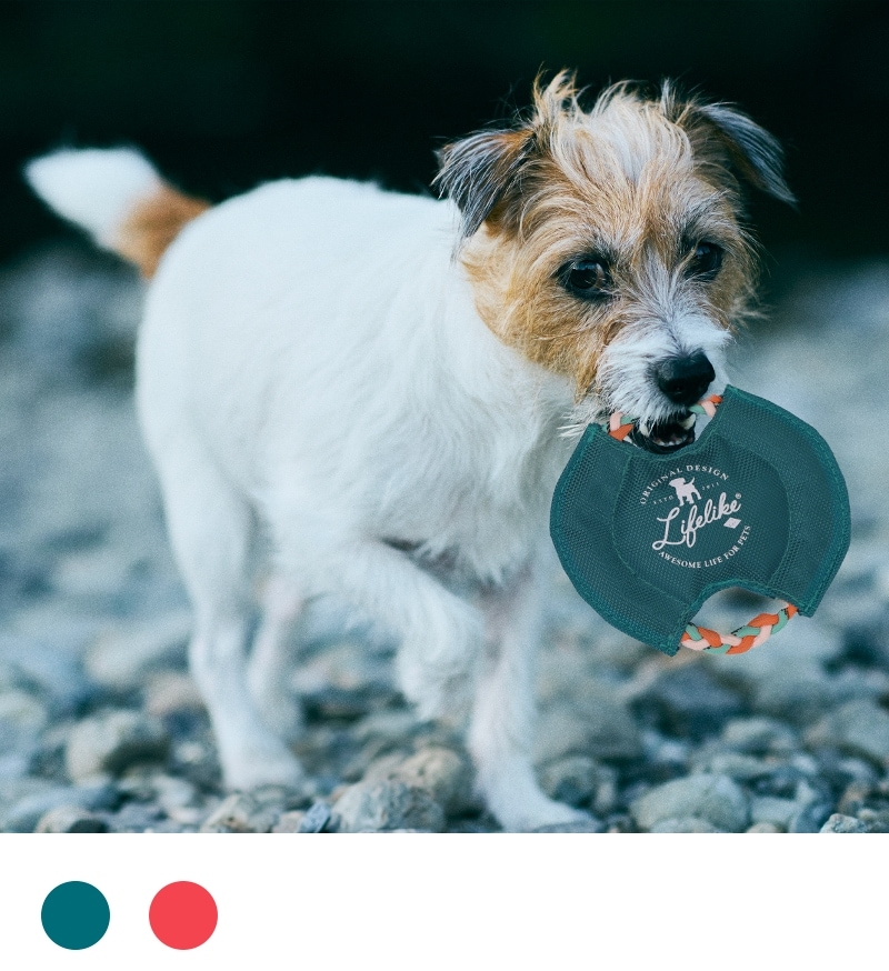 パラコードフリスビー | Toys（おもちゃ） | LIFE LIKE 【犬服グッズ