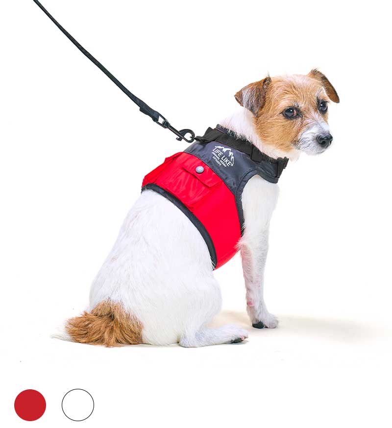 OUTDOORマウンテンハーネス