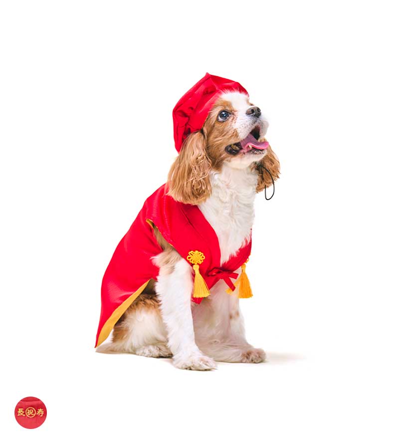 還暦お祝いセット