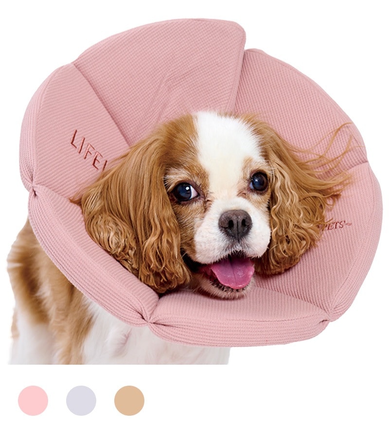 オーガニックワッフルエリザベスカラー