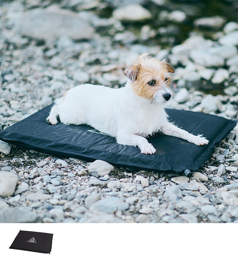 LIFELIKEインフレーターマット