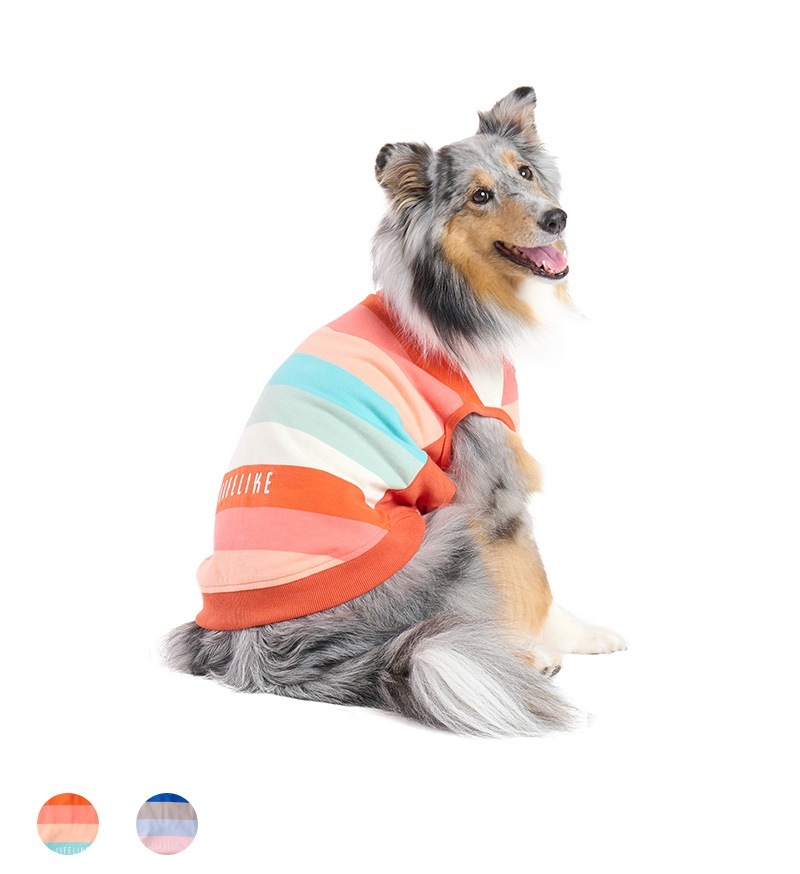 マルチボーダートレーナー