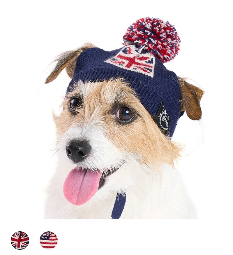 ☆冬用すっぽりニット帽☆着用イメージまとめ☆ 犬用帽子　イタグレ服　ハンドメイド ☆冬用すっぽりニット帽☆着用イメージまとめ☆ 犬用帽子 イタグレ服