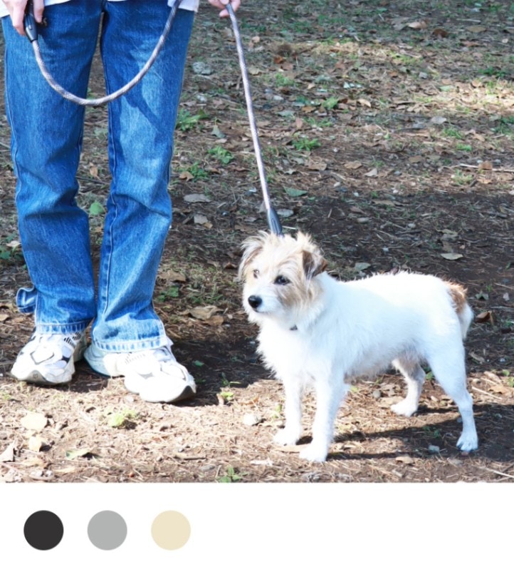 シングルロープリード