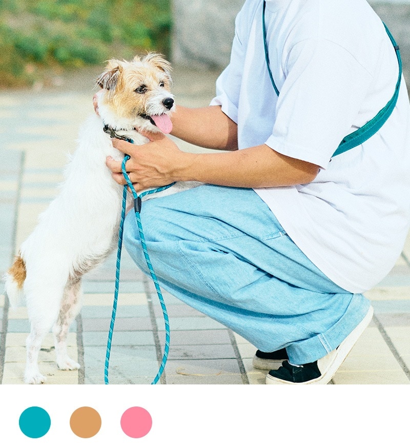 ２WAYライトハンズフリーリード