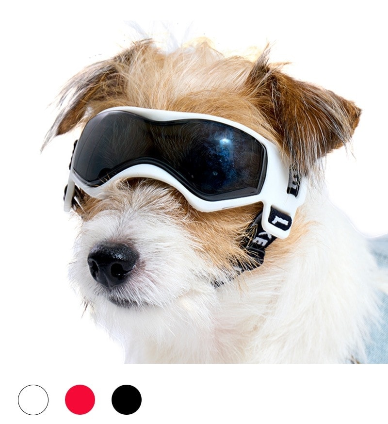 LIFELIKEゴーグル | Others（その他）,サングラス&ゴーグル | LIFE