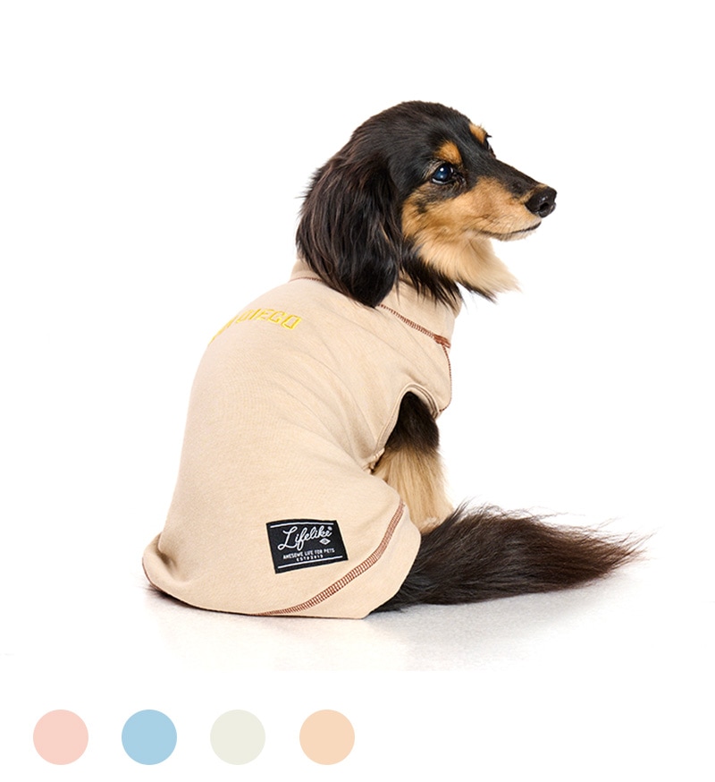 レッド ／ キブルー 】新春晴れ着【 2 ／ 3 ／ 4 】【 中型 小型