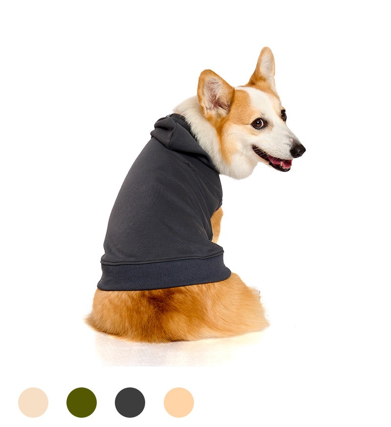 ベーシックロゴフーディー