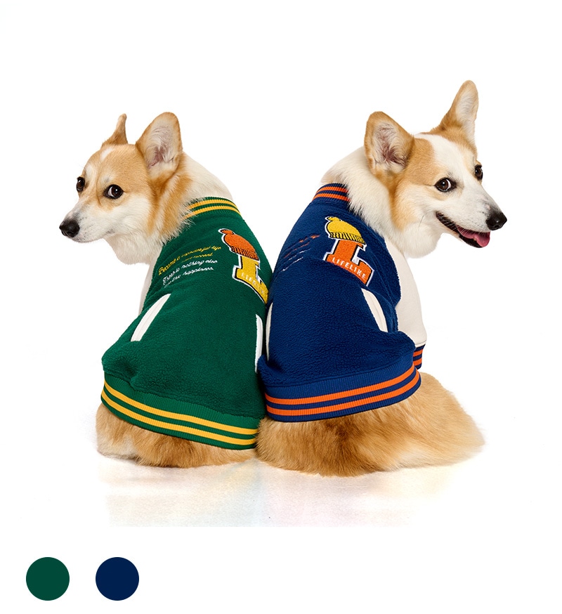 スタジャンライクプルオーバー | AW Clothes（秋冬洋服） | LIFE LIKE