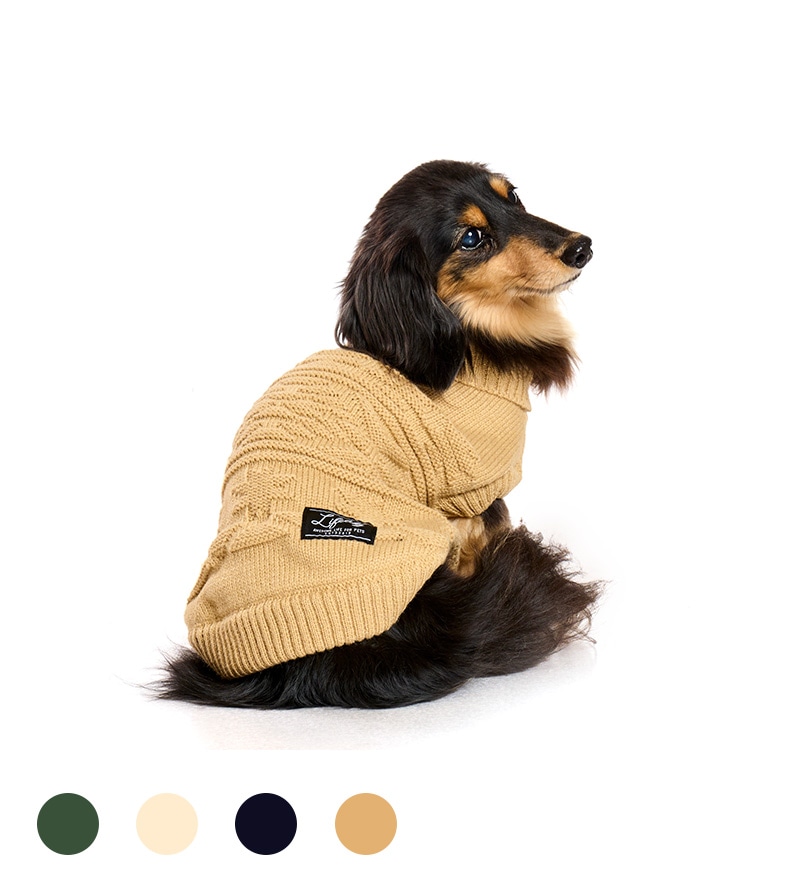 オルテガカウチン