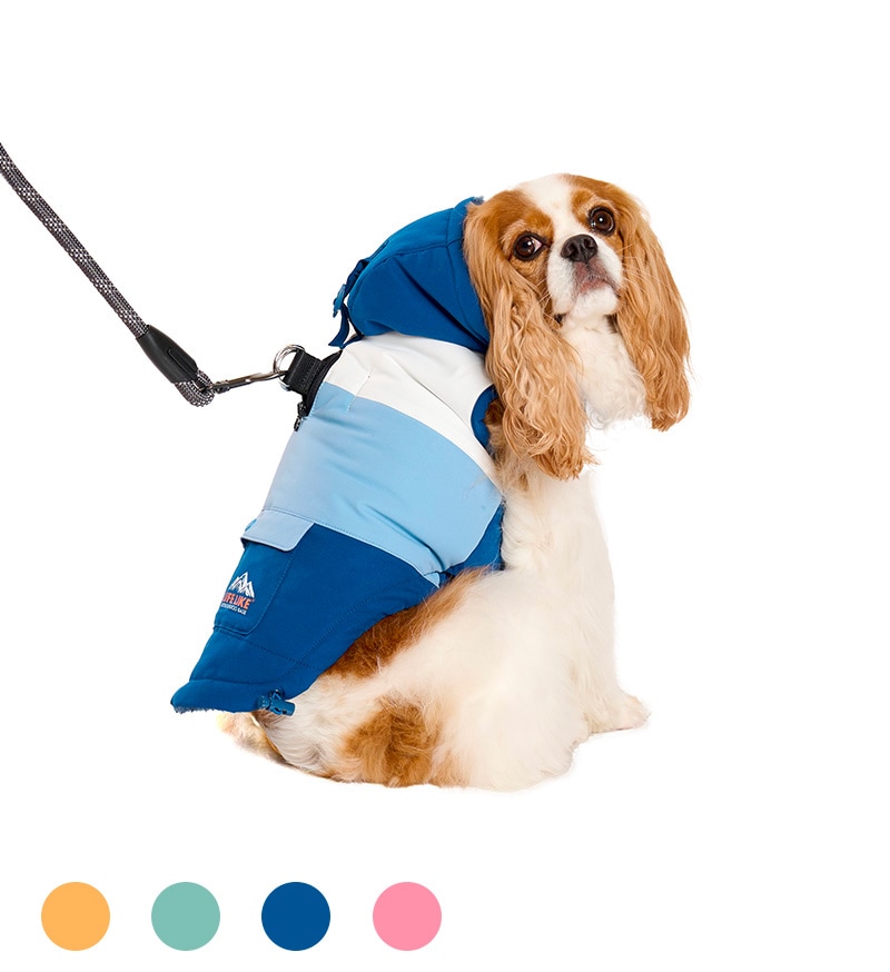 トリコロールレインコート | ALL（全ての商品） | LIFE LIKE