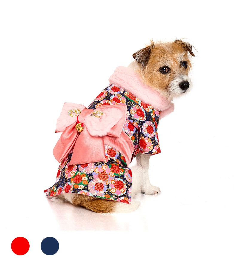 トリコロールレインコート | ALL（全ての商品） | LIFE LIKE 【犬服