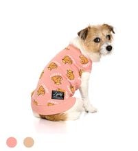 ホーストレーナー