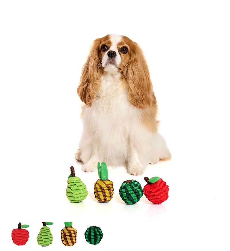 タフテープフルーツトイ