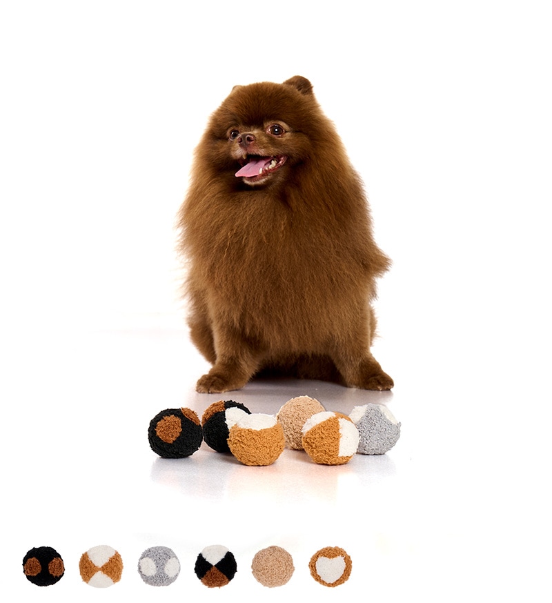 コートカラースパイクボール