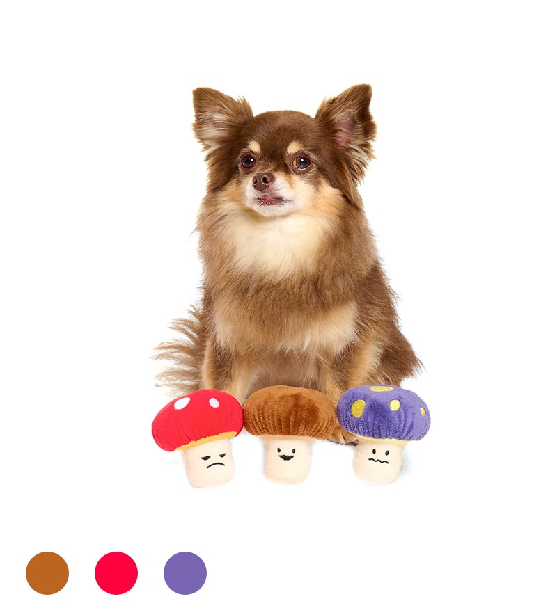 きのこフェイストイ