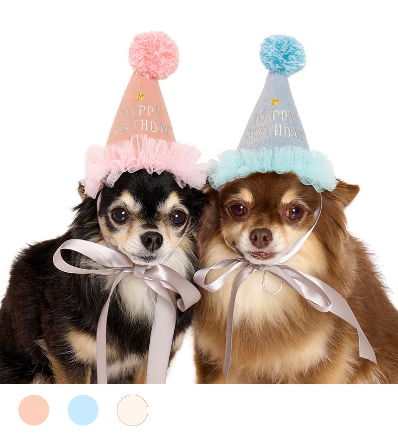 犬用 バースデーハット 誕生日 写真撮影 映え