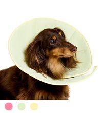 ライトエリザベスカラー