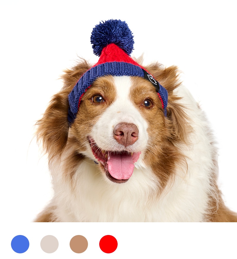 バイカラーニットキャップ | Cap（キャップ・ハット・バンダナ類