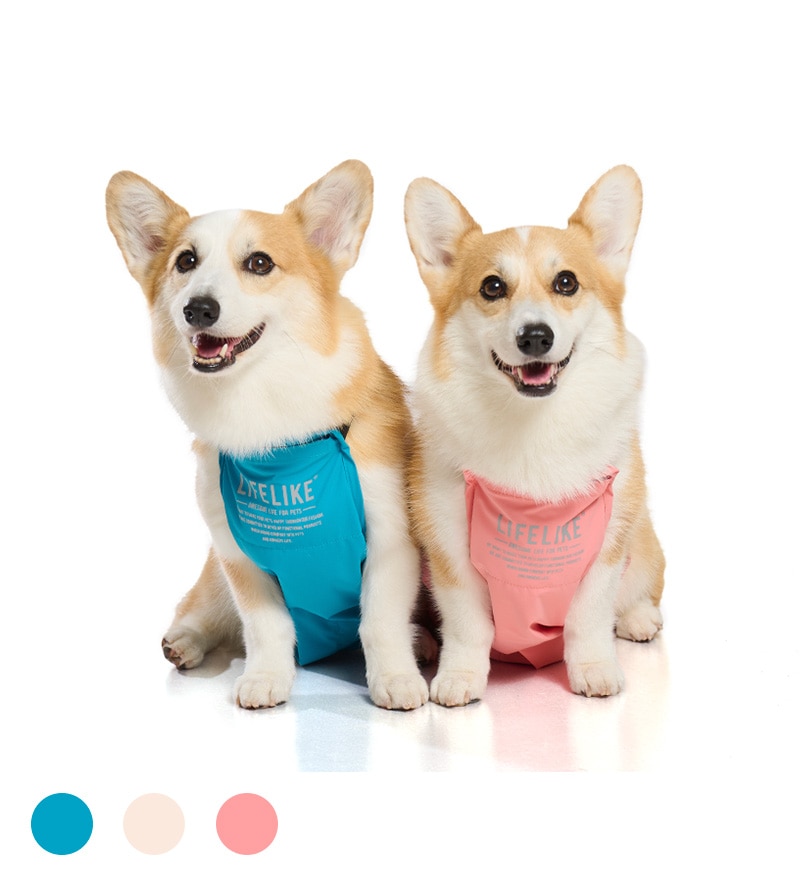 アウトドアマッドガード