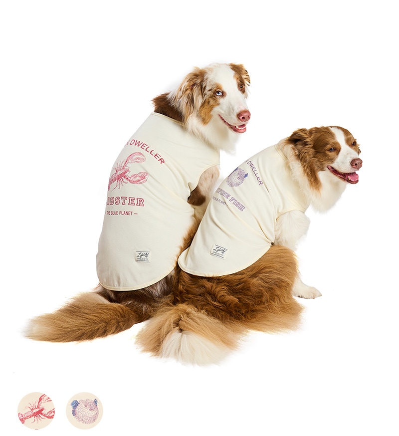 シークリーチャーズタンク