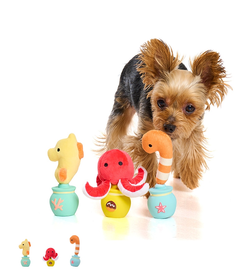 海のかくれんぼラテトイ