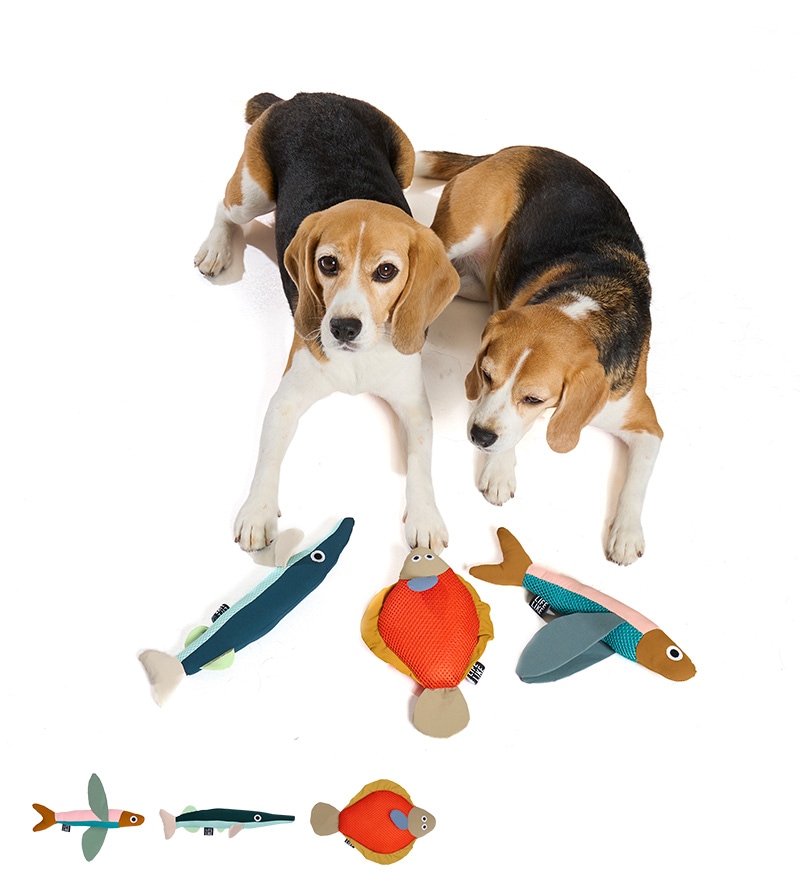 フィッシュプラッシュトイ